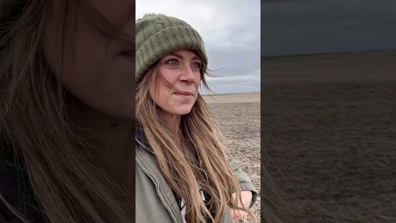 Seagulls in North Dakota just sounds WRONG 😂 #farming #interesting #funny