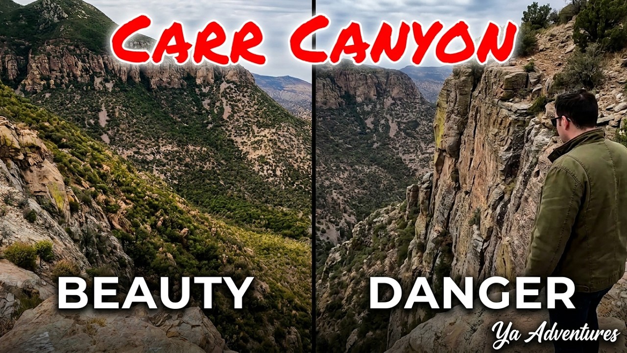 Captivating Beauty Of Carr Canyon