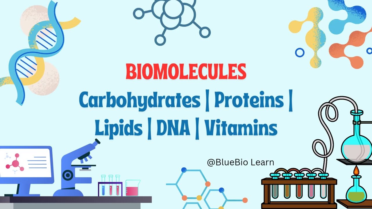 Biomolecules Explained in Detail | Carbohydrates, Proteins, Lipids & Nucleic Acids | Biology