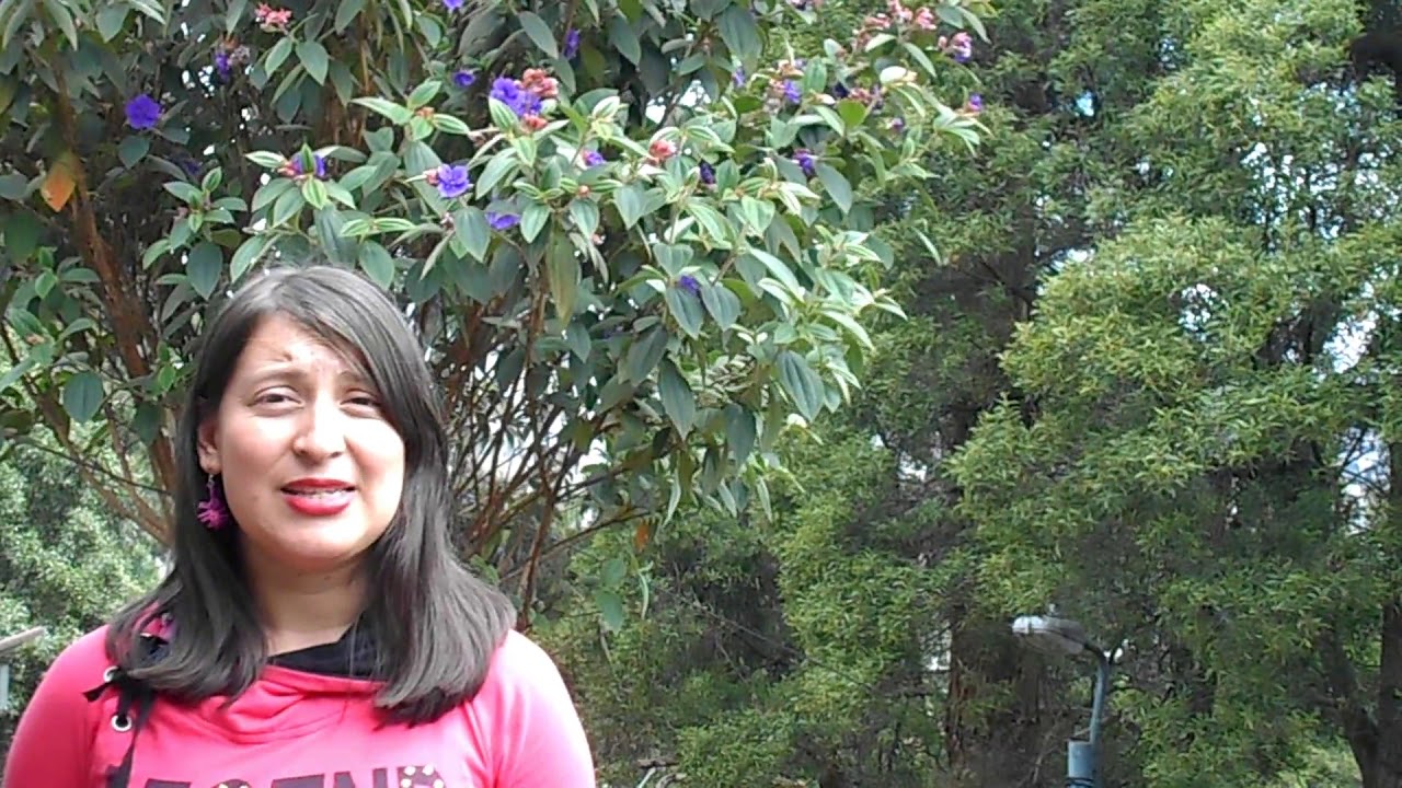 Diseño y Construccion de Viveros Forestales