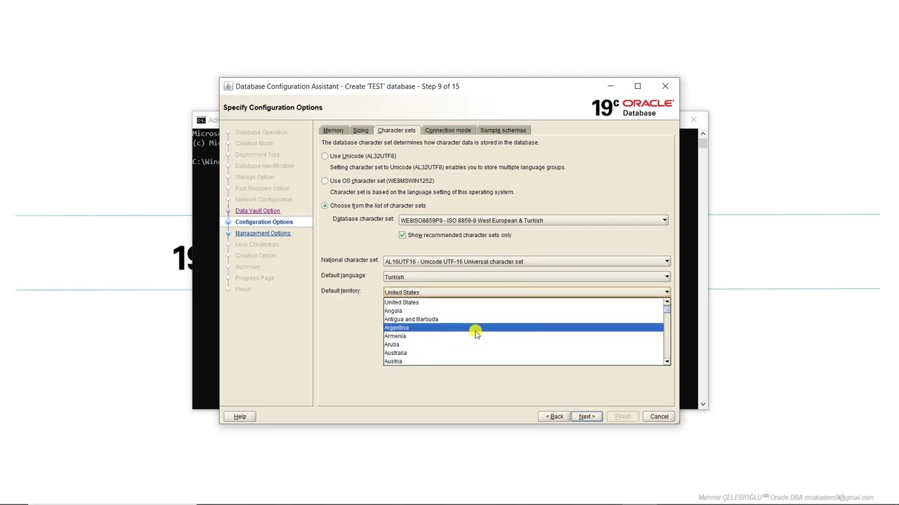 Oracle Database 19c  (Single Instance) Install&Config on Windows 10 (2)