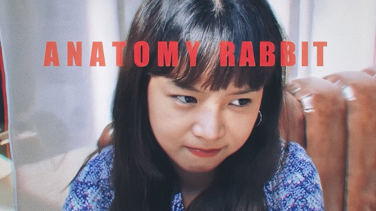 ANATOMY RABBIT - ธรรมดาแสนพิเศษ | Extraordinary (Official Audio)