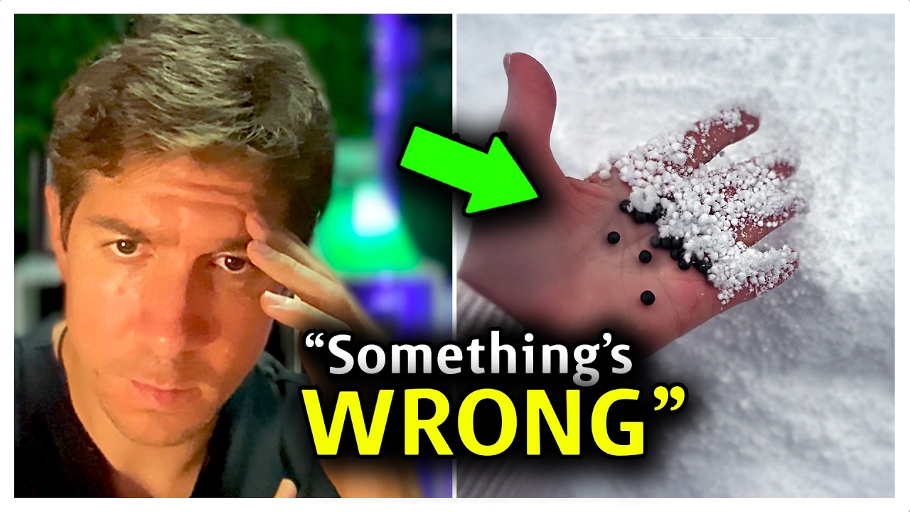 Why Is No One Talking About This?