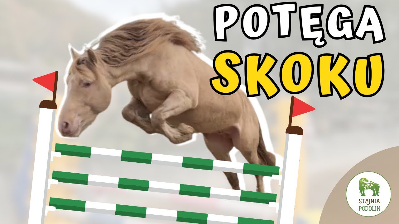 POTĘGA SKOKU!  | Kucyki potrafią 🔥