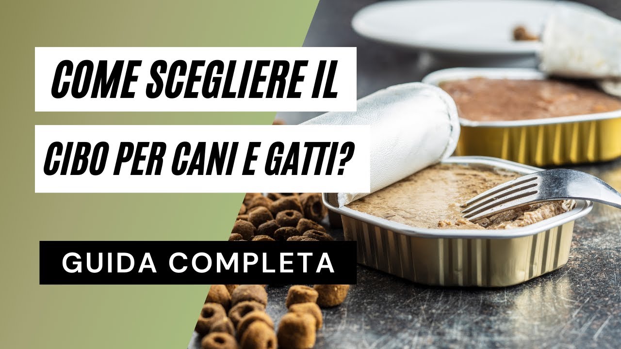 Come scegliere il miglior cibo per cani e gatti