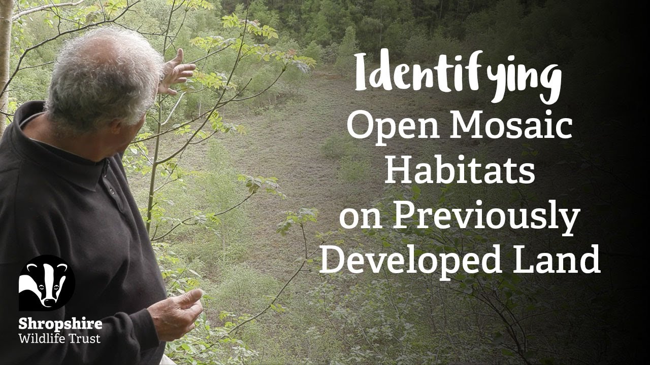 Open Mosaic Habitats on Previously Developed Land, Habitat Mapping Project | Nature Recovery Network