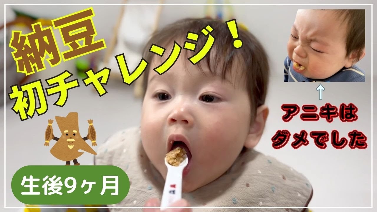 納豆パイセンの洗礼を受けるチカ。〜納豆に初チャレンジ！〜