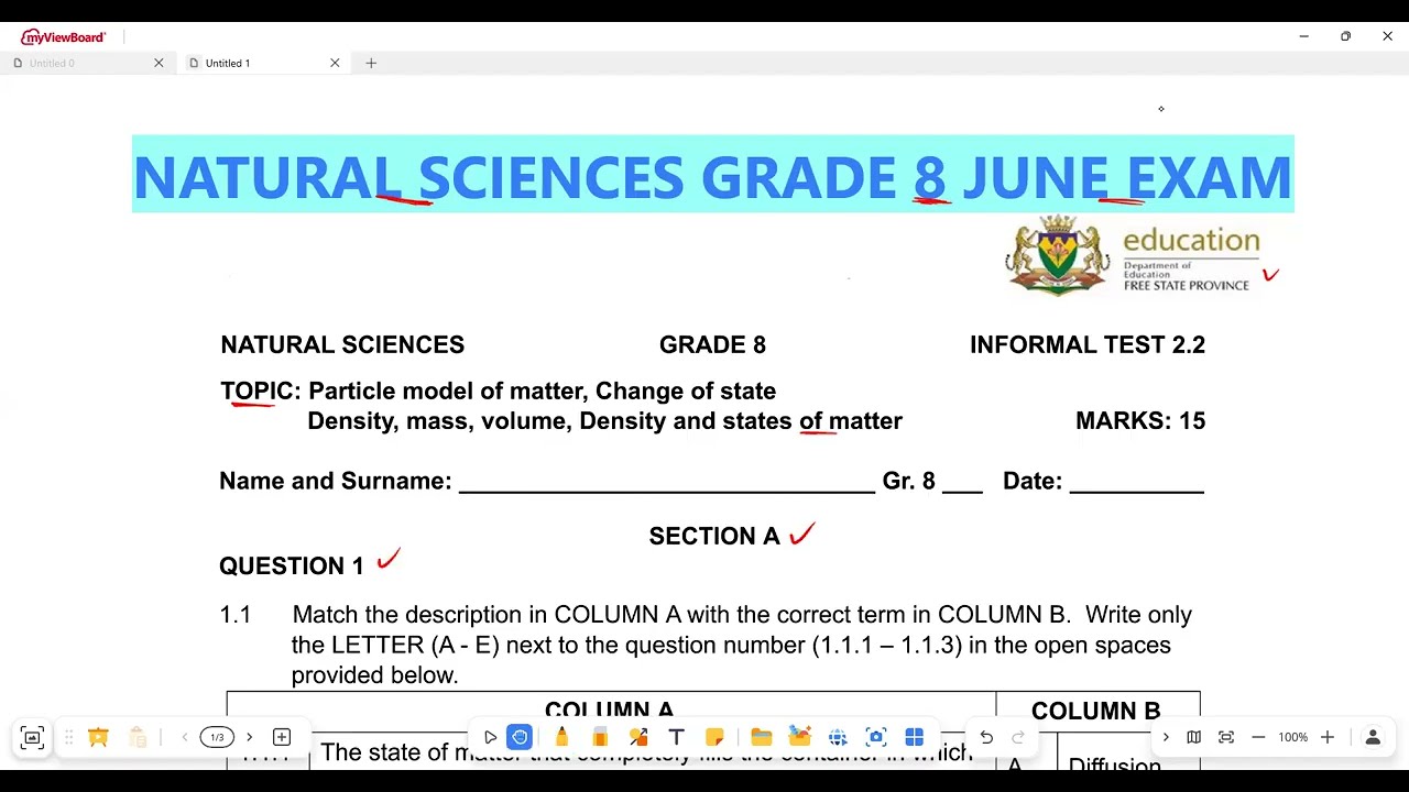 Natural Sciences Grade 8 June Exam Term 2 2025 Free State