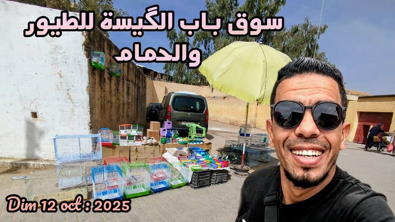 سوق باب الگيسة للطيور والحمام #birds  marché bab el guissa مدينة فاس Dim 12 oct 2025
