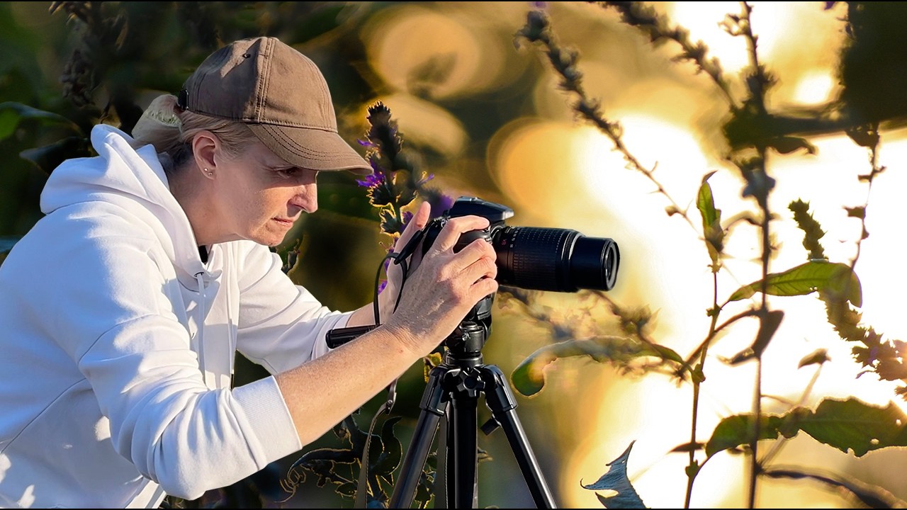 A Summer Evening of Golden Hour Nature Photography - Relaxation & Calm 