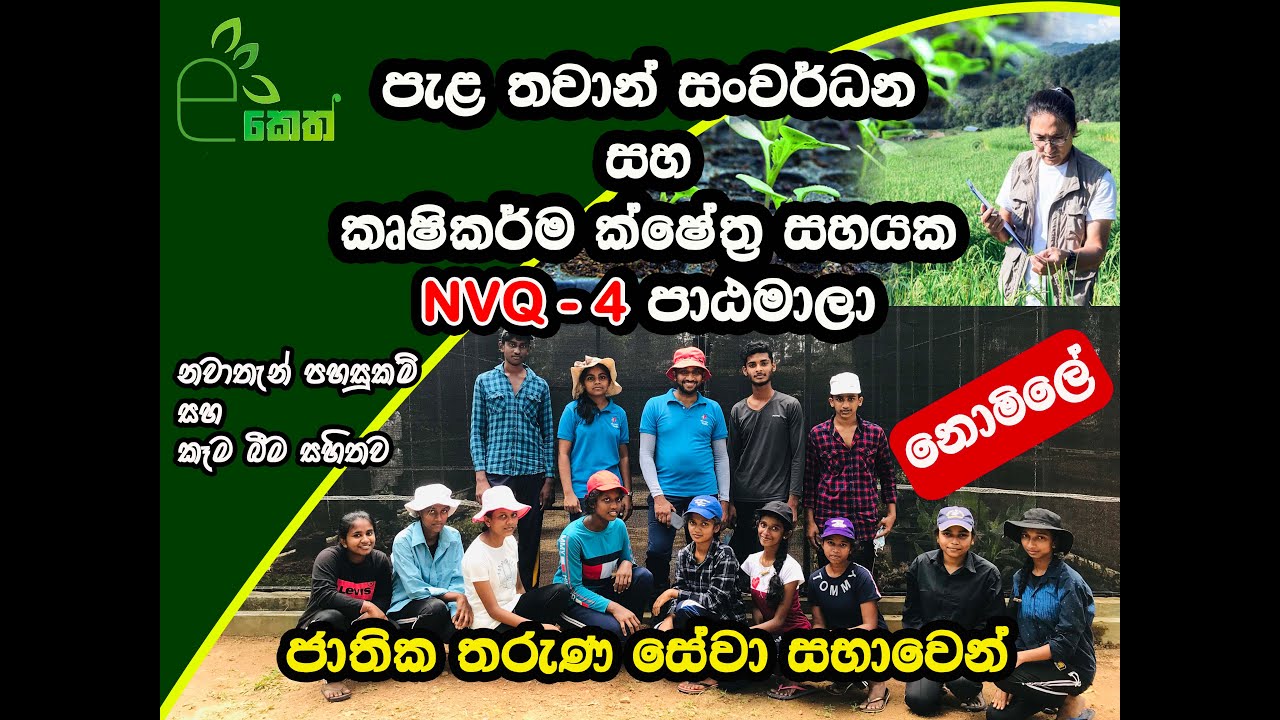 නොමිලේ NVQ-4 කෘශිකර්ම පාඨමාල / Free agriculture course in Srilanka | National youth service council