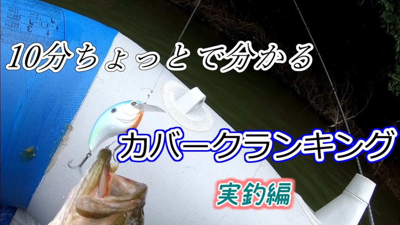 カバークランキングってこんな感じ