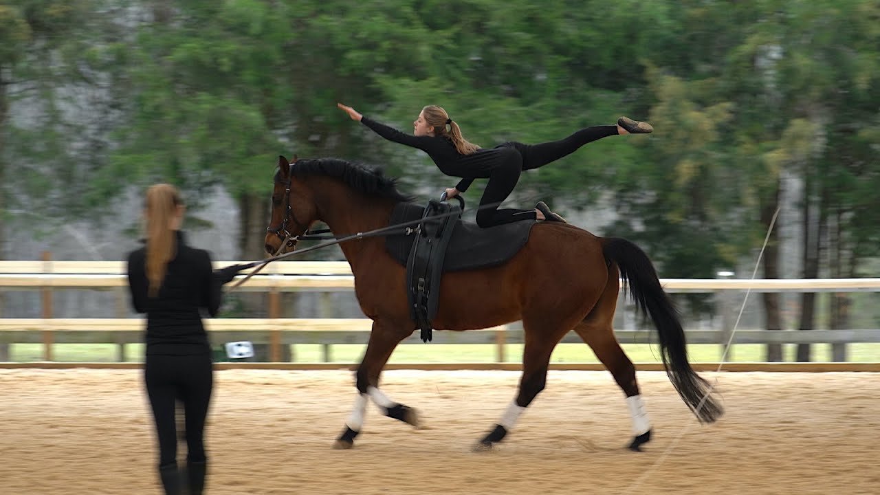 Equestrian Vaulting - 1 Star Compulsories at Canter