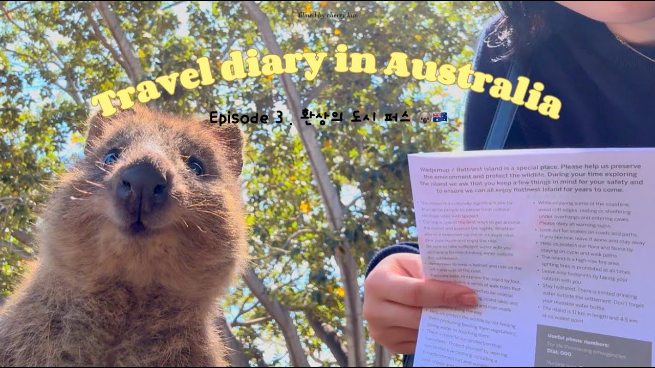 우당탕탕 호주 여행 기록 🇦🇺🐨 (3/3) |  서호주 퍼스 여행 • 킹스파크 피크닉🥪 • 엘리자베스 키 • 프리맨틀 • 로투네스트 섬에서 야생 쿼카 셀피🫶🏻 • 야생 캥거루