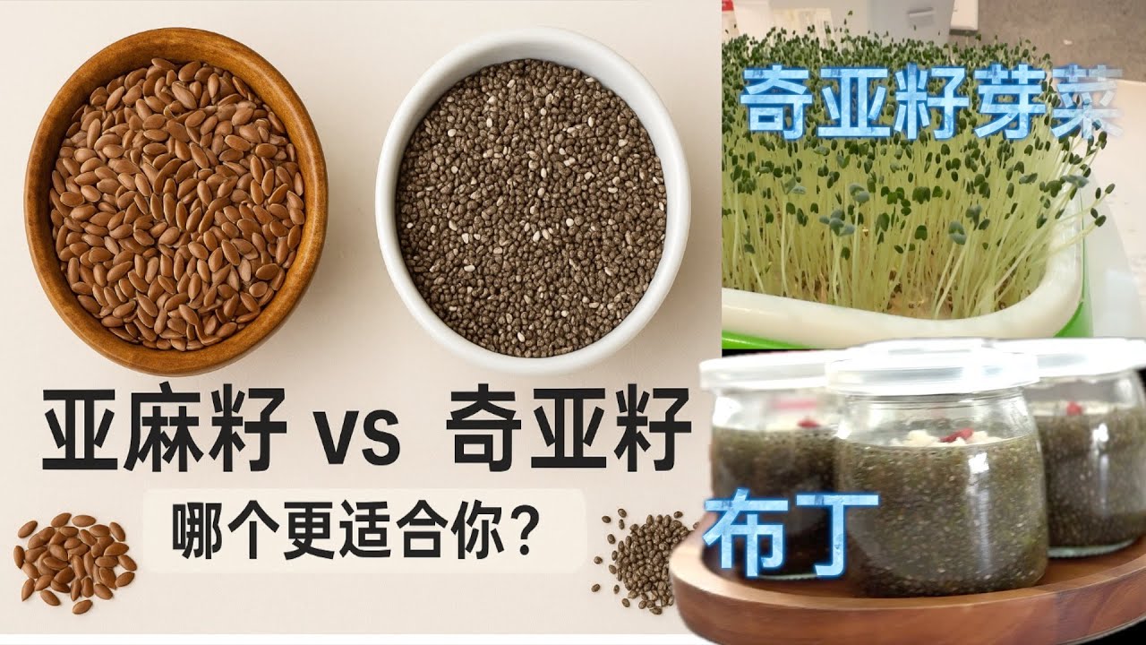 亚麻籽vs 奇亚籽 营养+生熟 吃法全解析 奇亚籽芽菜水培【GardenTime 田园生活分享】2024 5
