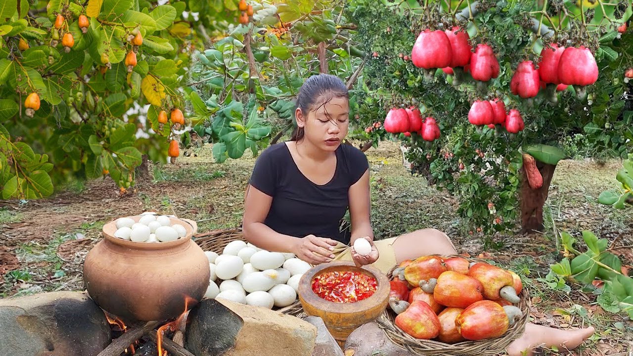Yummy cooking duck egg and pick Cashew fruit for dinner