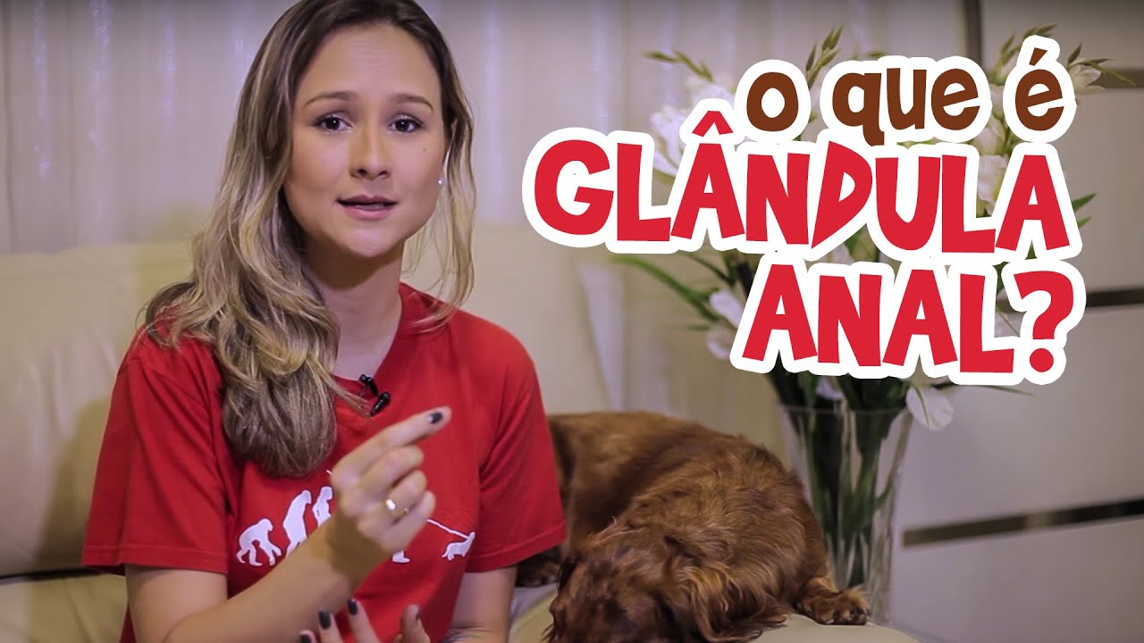 Ju Almeida - O que é Glândula Anal?