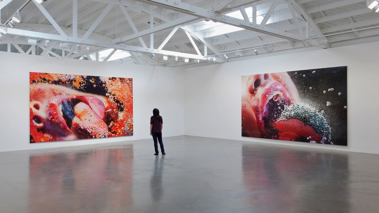 Marilyn Minter - Fine Artist