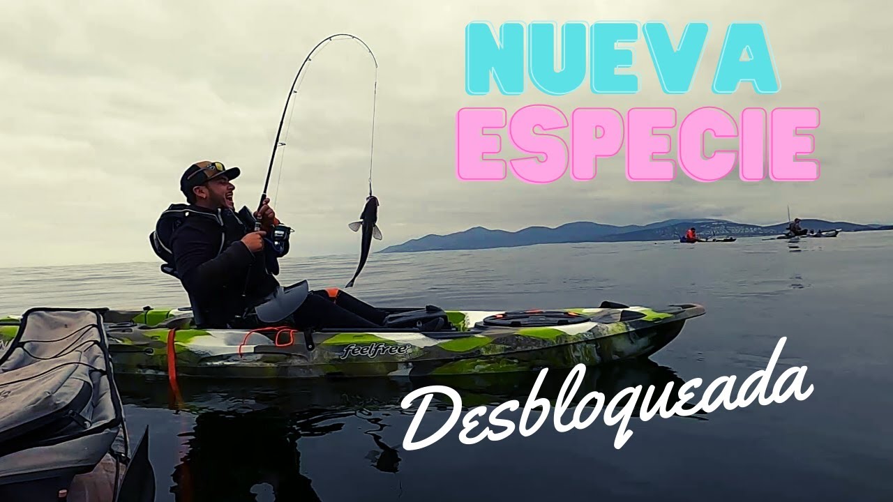 Nueva especie Desbloqueada.  ¡¡ ADIOS  GRAN LENGUADOSAURIO!! mucha pesca.