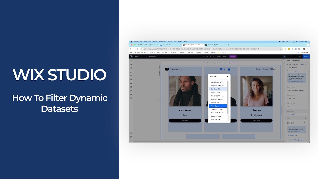 Wix Studio | How to Filter Dynamic Datasets in Wix CMS