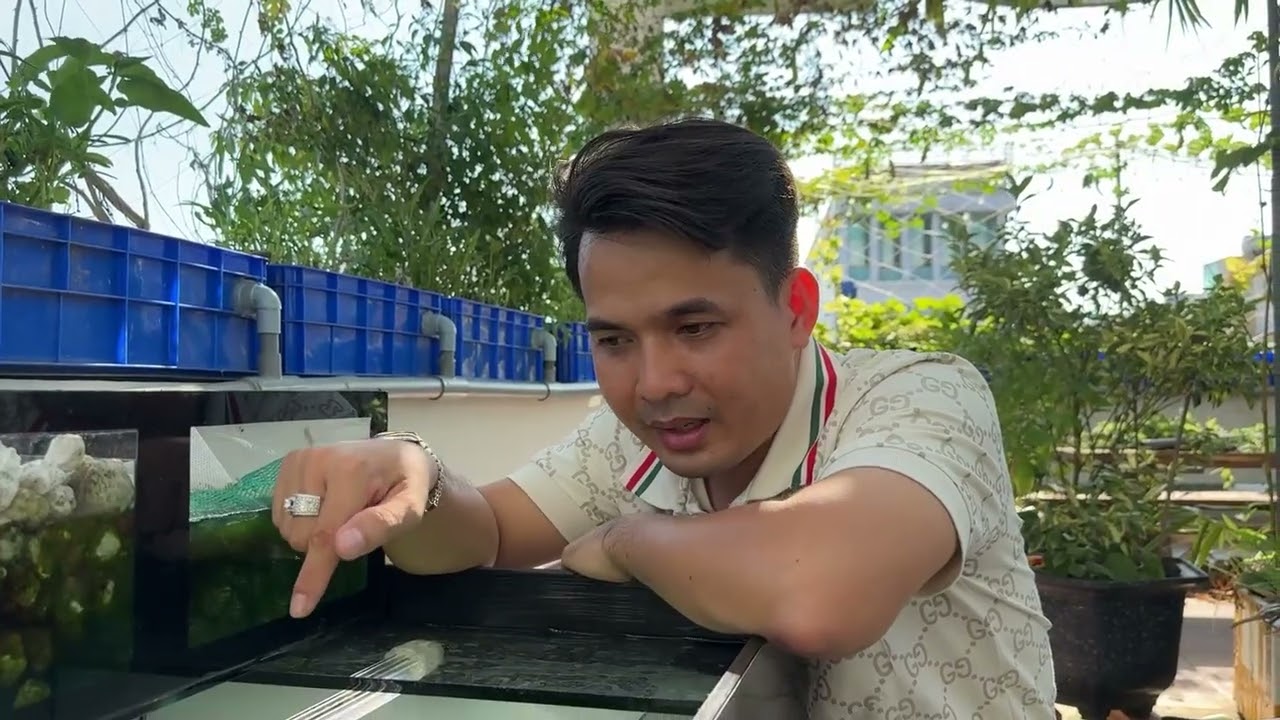 Cá bỏ ăn, nằm đáy khi pom? TẠI SAO VẬY?
