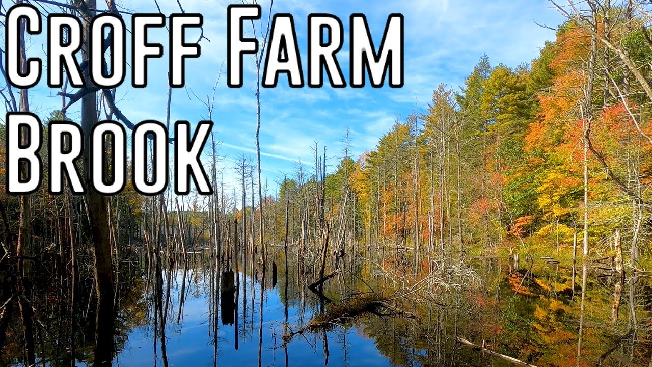 New England Fall Colors In A Swamp (Croff Farm Brook, Rhode Island - Sip Trips)