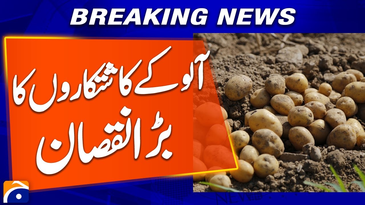 “Potato Farmers Suffer Massive Losses as Prices Crash in Pakistan” - Geo News