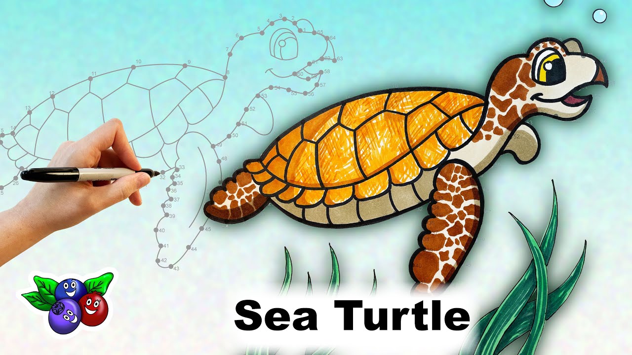 Connect the Dots Drawing - SEA TURTLE - How to draw step by step