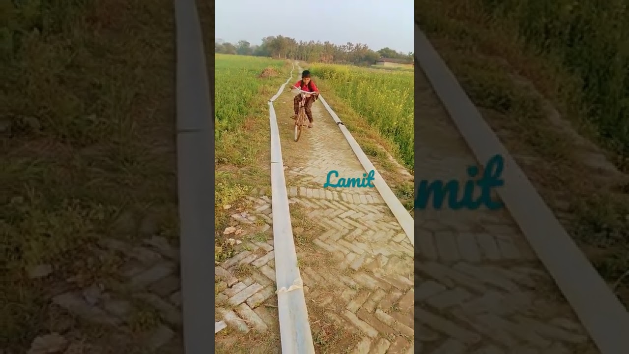 #lamit