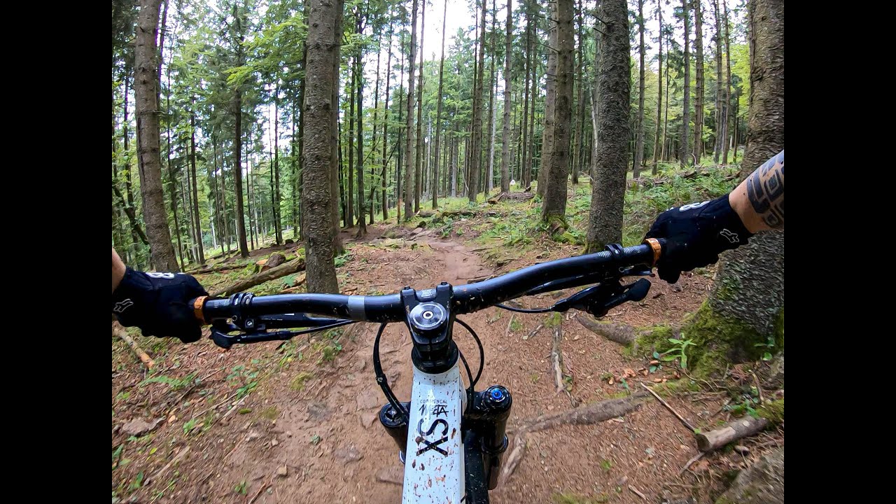 La roots - Lac Blanc Bikepark