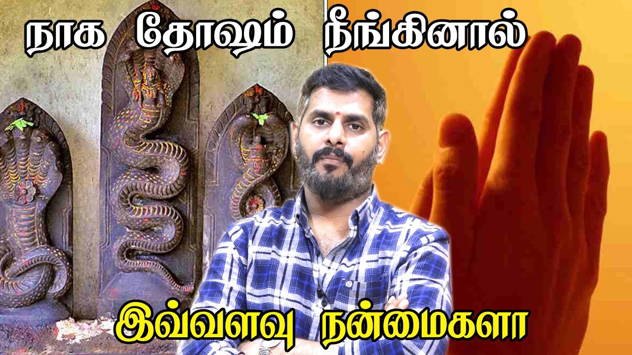 Naga dosham pariharam in tamil | நாக தோஷம் நீங்க நீங்களே பரிகாரம் செய்யலாம் | naga thosam