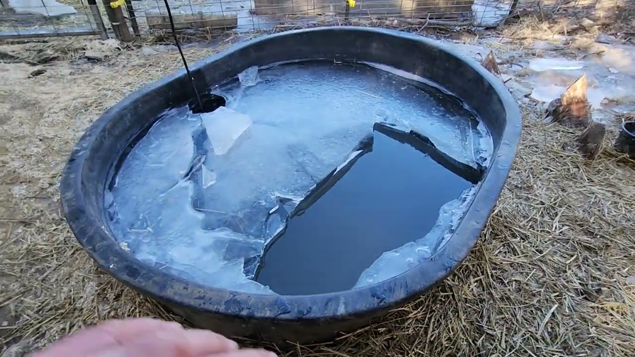 Low Cost Solution for Pig Water through Winter.
