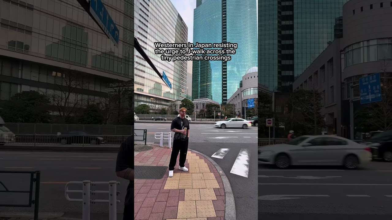 Pedestrian crossings in Japan are so small! #japan #tokyo