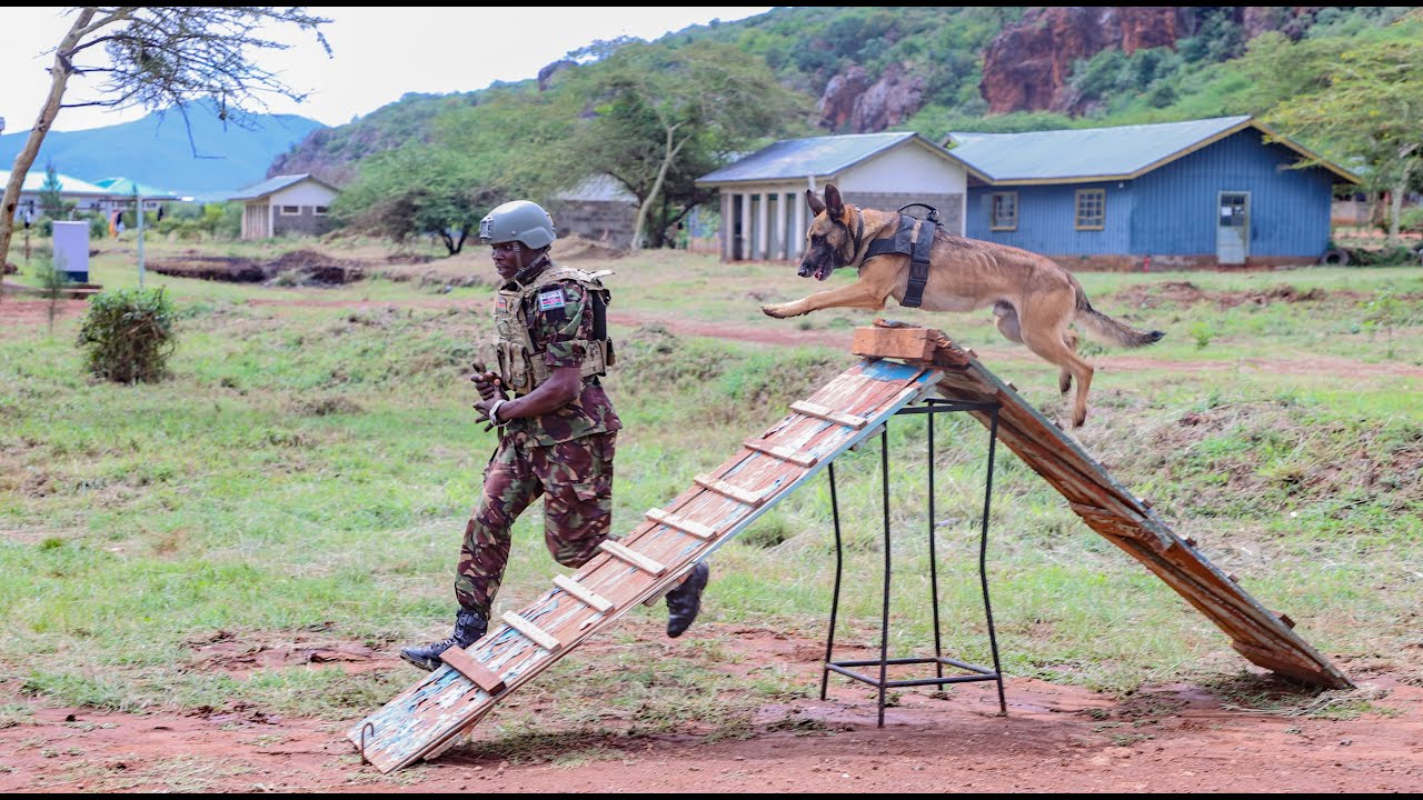KDF FRIDAY BULLETIN 27 DEC 2024