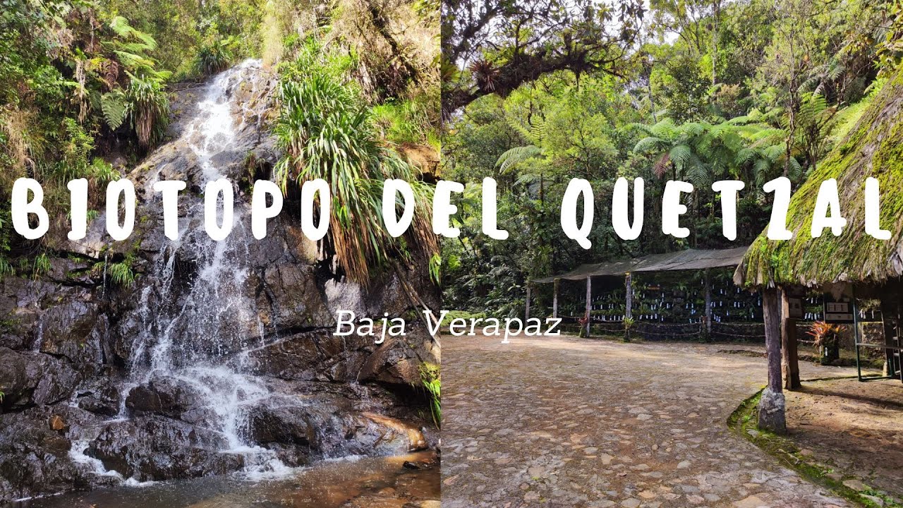 Conociendo Guate | Biotopo del Quetzal | Purulha | Baja Verapaz
