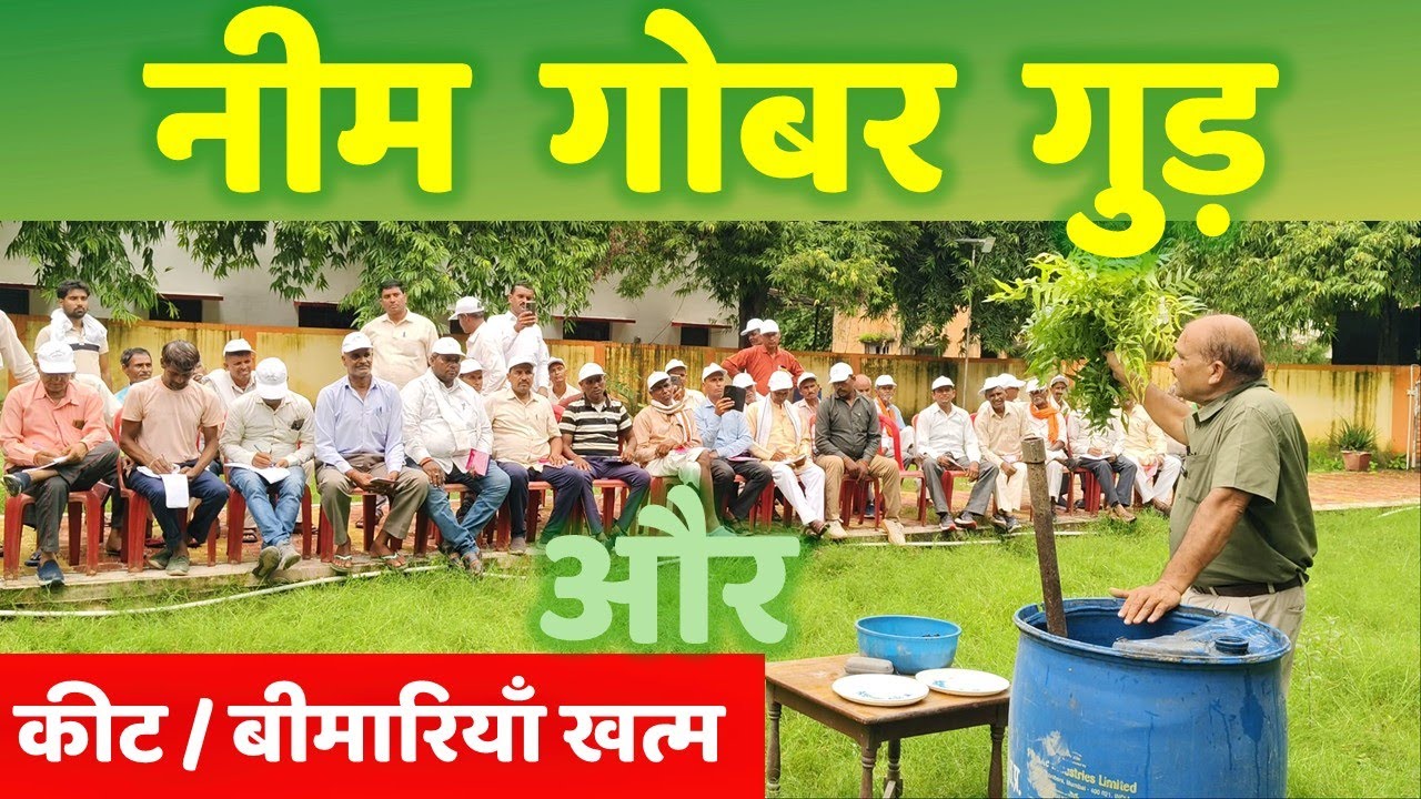 संजीवनी खाद बनाएं कीट / रोग से छुटकारा पाएं