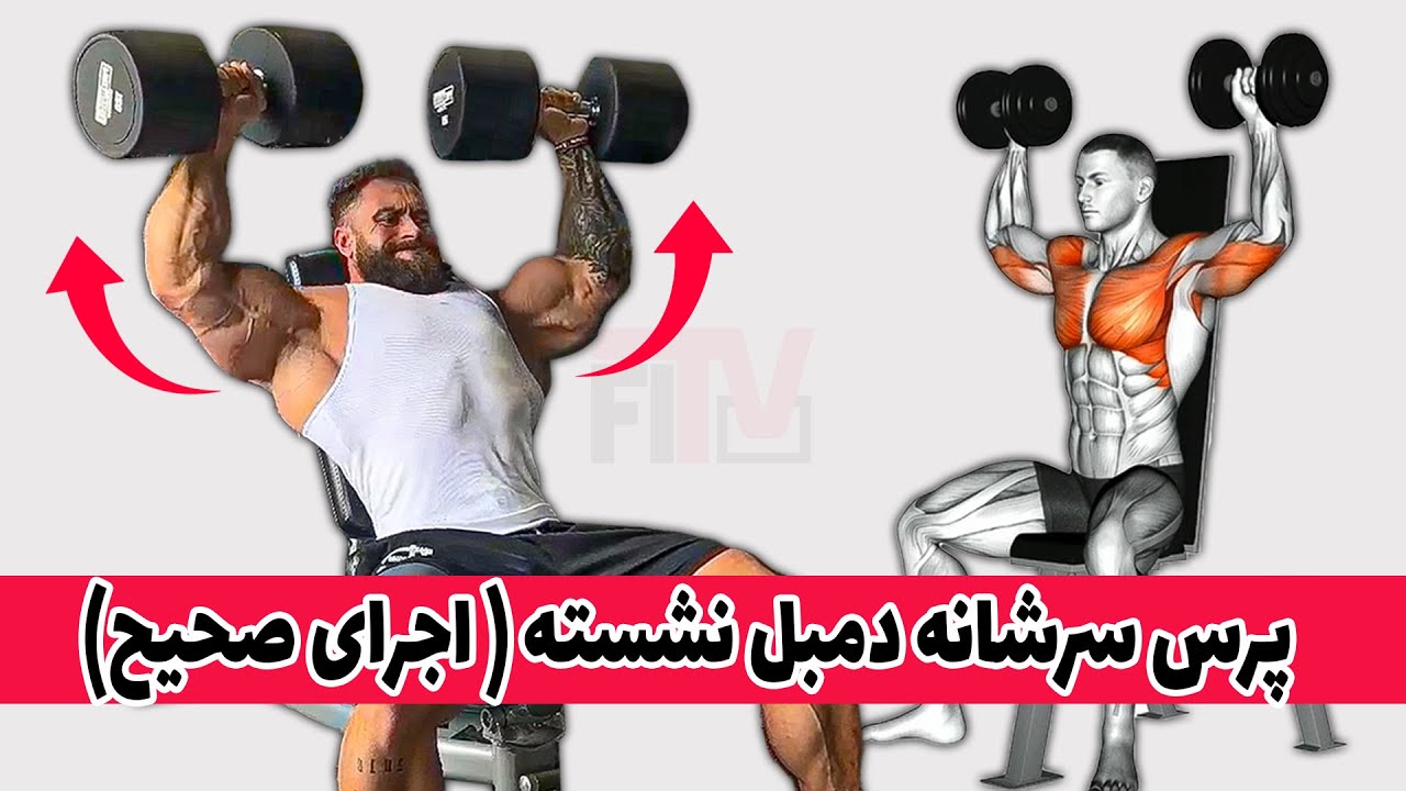 پرس سرشانه دمبل نشسته (اجرای صحیح)