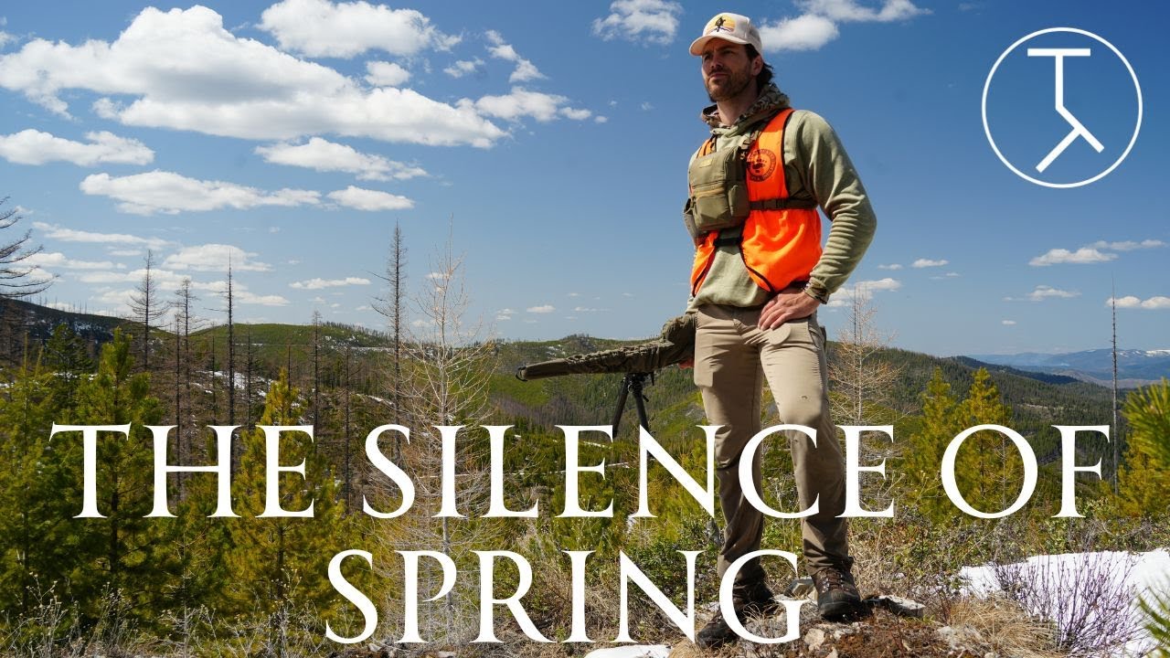 THE SILENCE OF SPRING | Montana Spring Bear Hunt | 4K