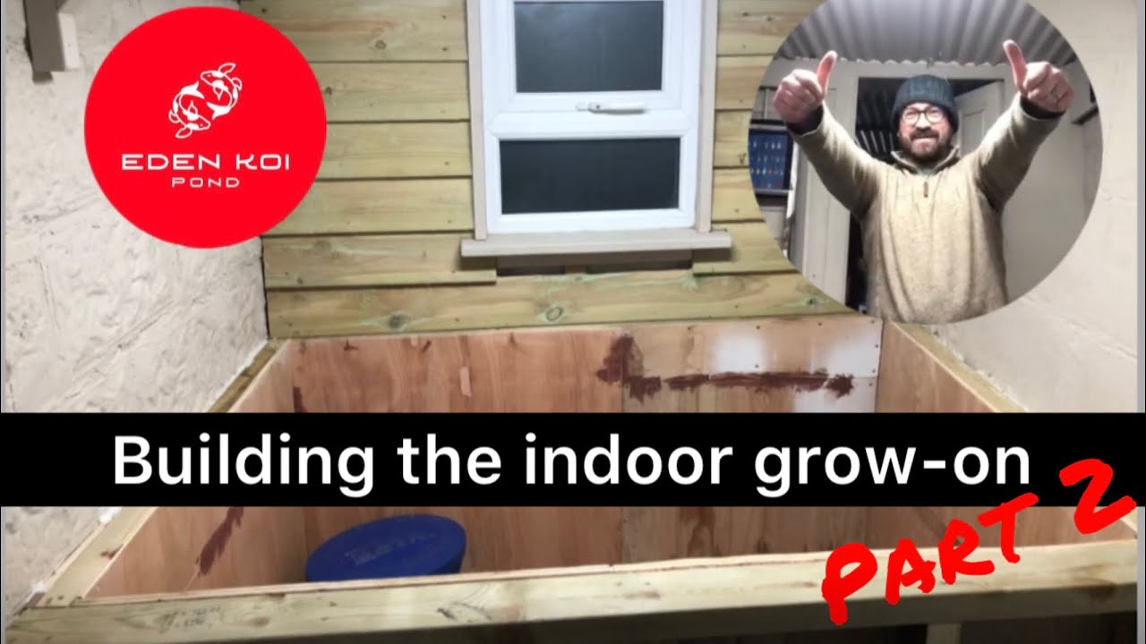 Building the new DIY heated indoor grow on pond for the koi / fry. Part 2
