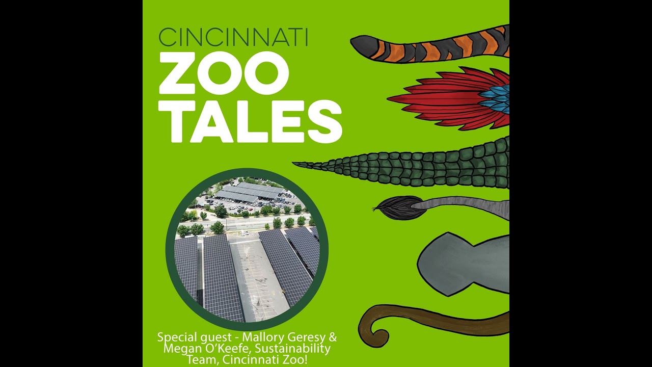 Sustainability at the Cincinnati Zoo