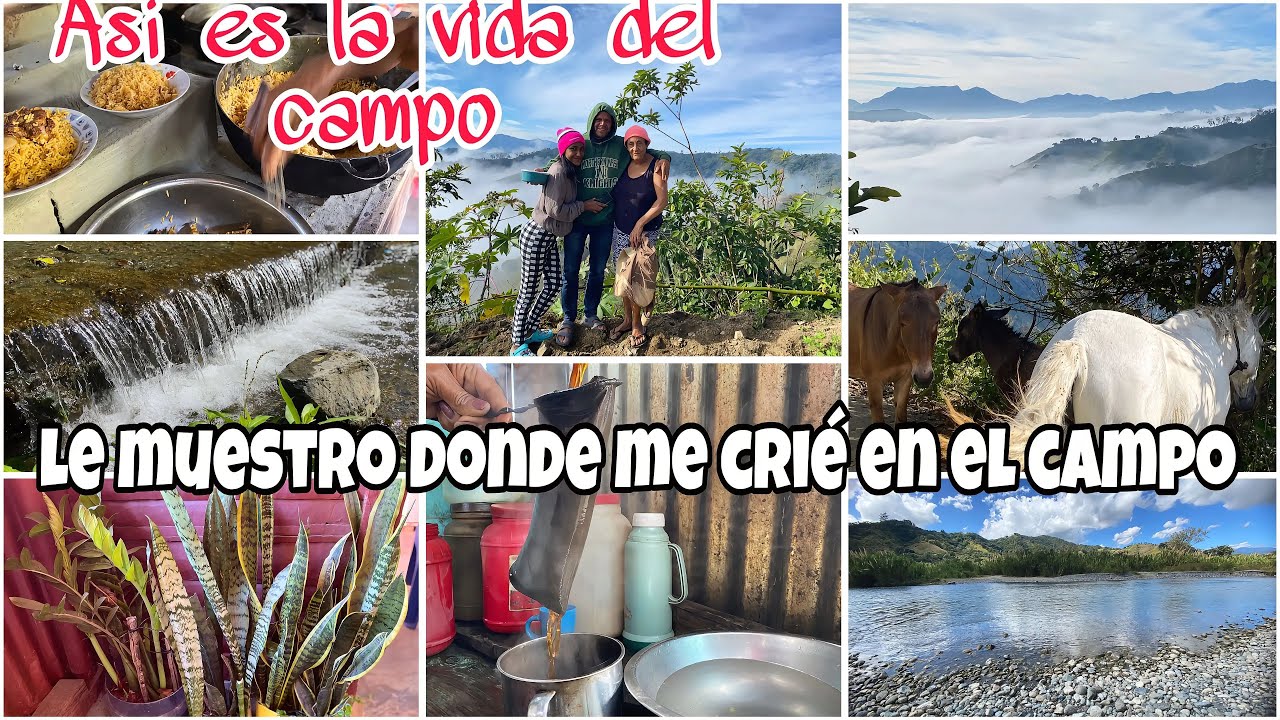 VISITANDO MIS TIERRAS Y A MI FAMILIA EN EL CAmPo VIVEN COMO Ricos No le falta nada una vida sencilla