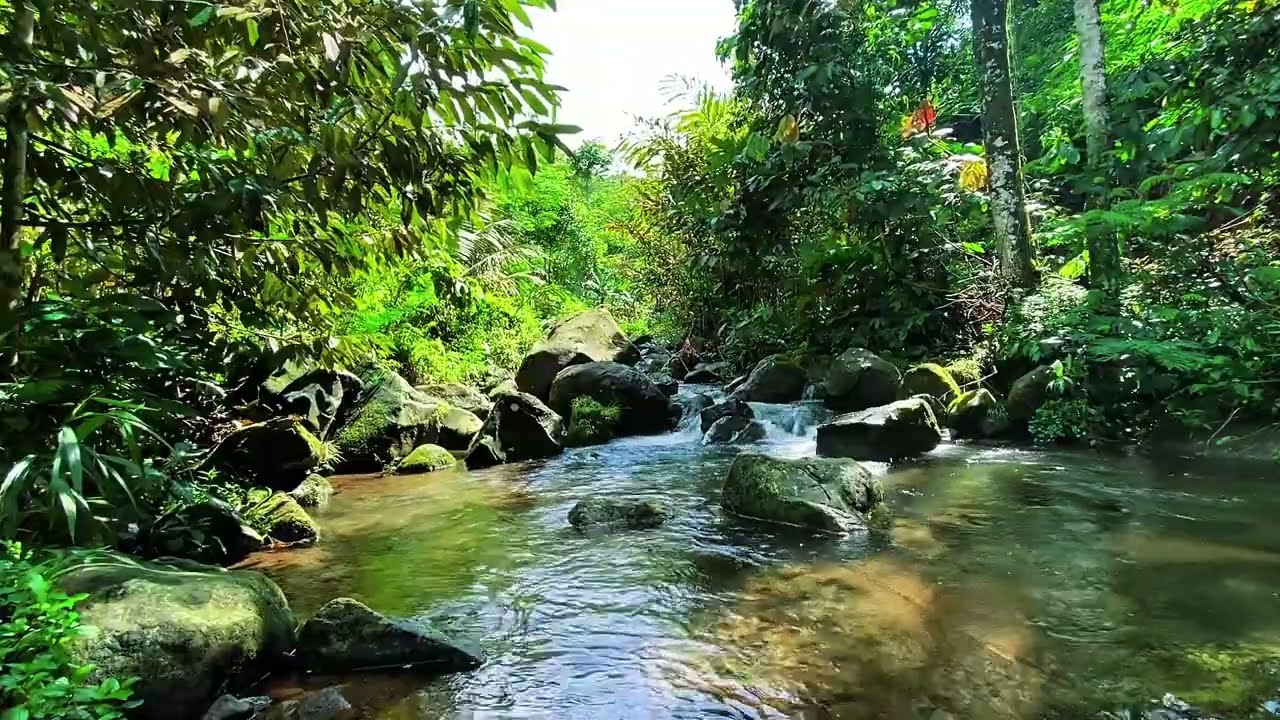 Fall Asleep Faster Tonight 🌙 Gentle River Sounds for Deep Rest