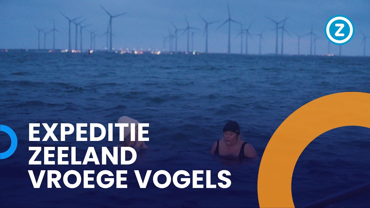 Expeditie Zeeland: ZEEZWEMMEN op een KOUDE winterochtend