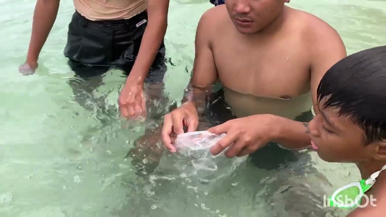 Pagpapakawala ng Nemo 🐠 sa dagat...