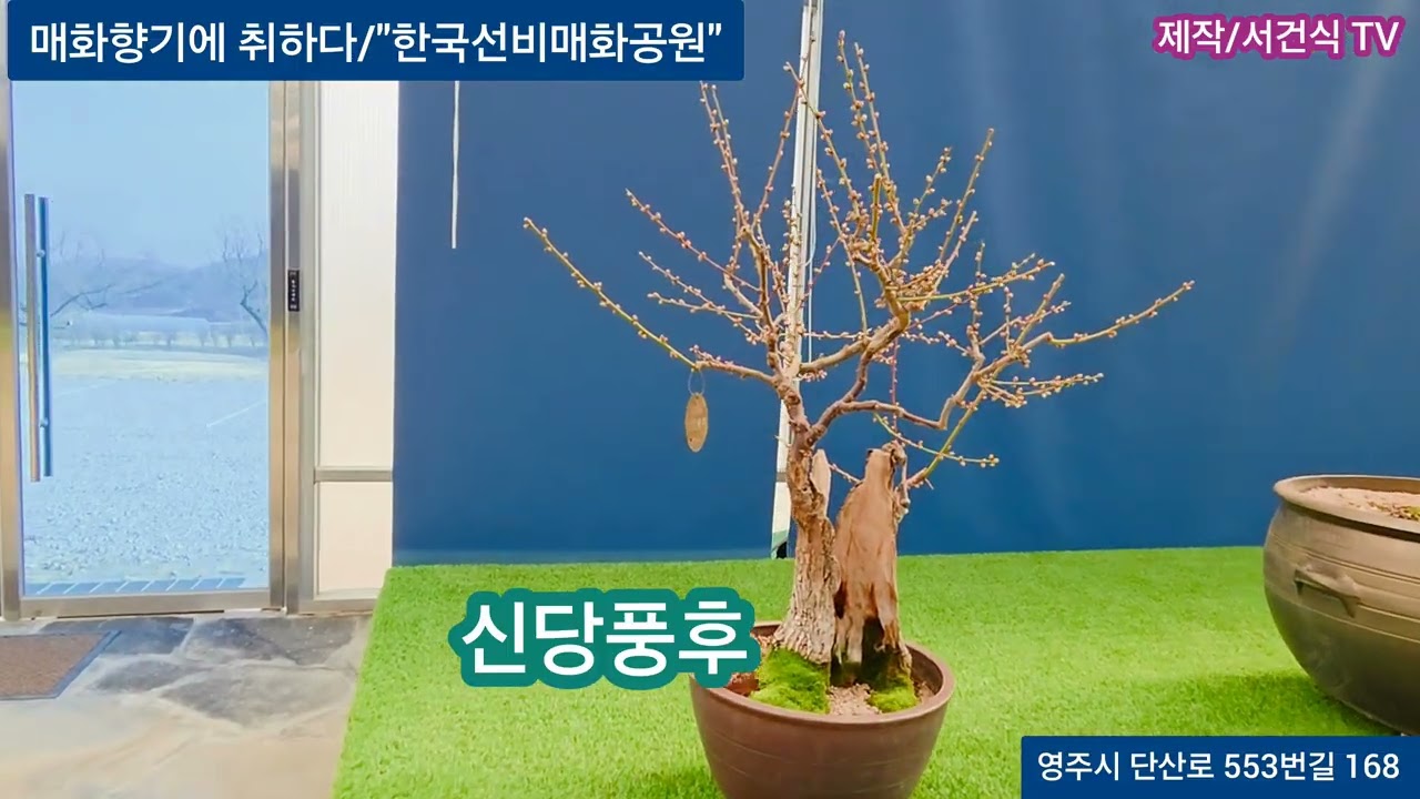 영주