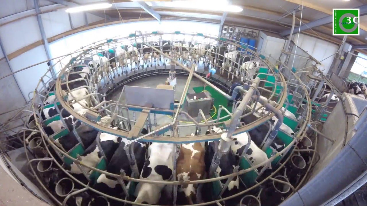 Timelapse tijdens melken in een 36-Stands GEA 3C Carrousel bij Ziel Heida te Nijelamer.