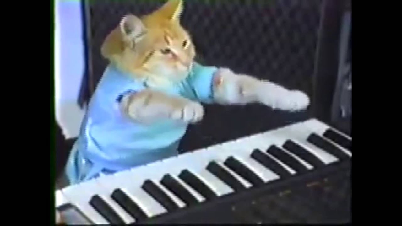 Top 5 Viral Videos RF