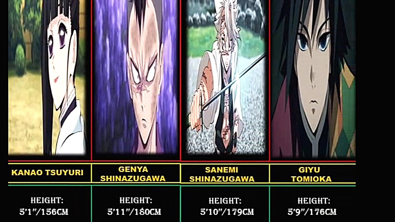 Demon Slayer: Every Major Character's Height.