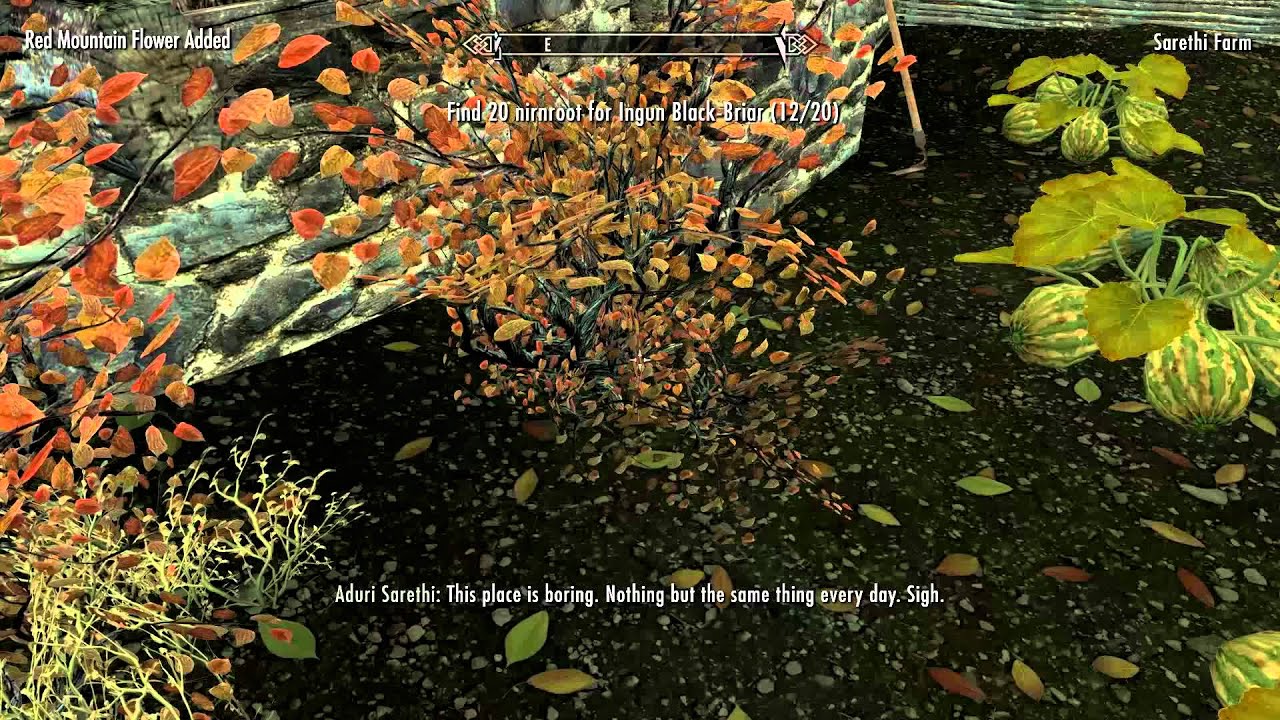 HD: Let's Play Skyrim [201] Avrusa Sarethi