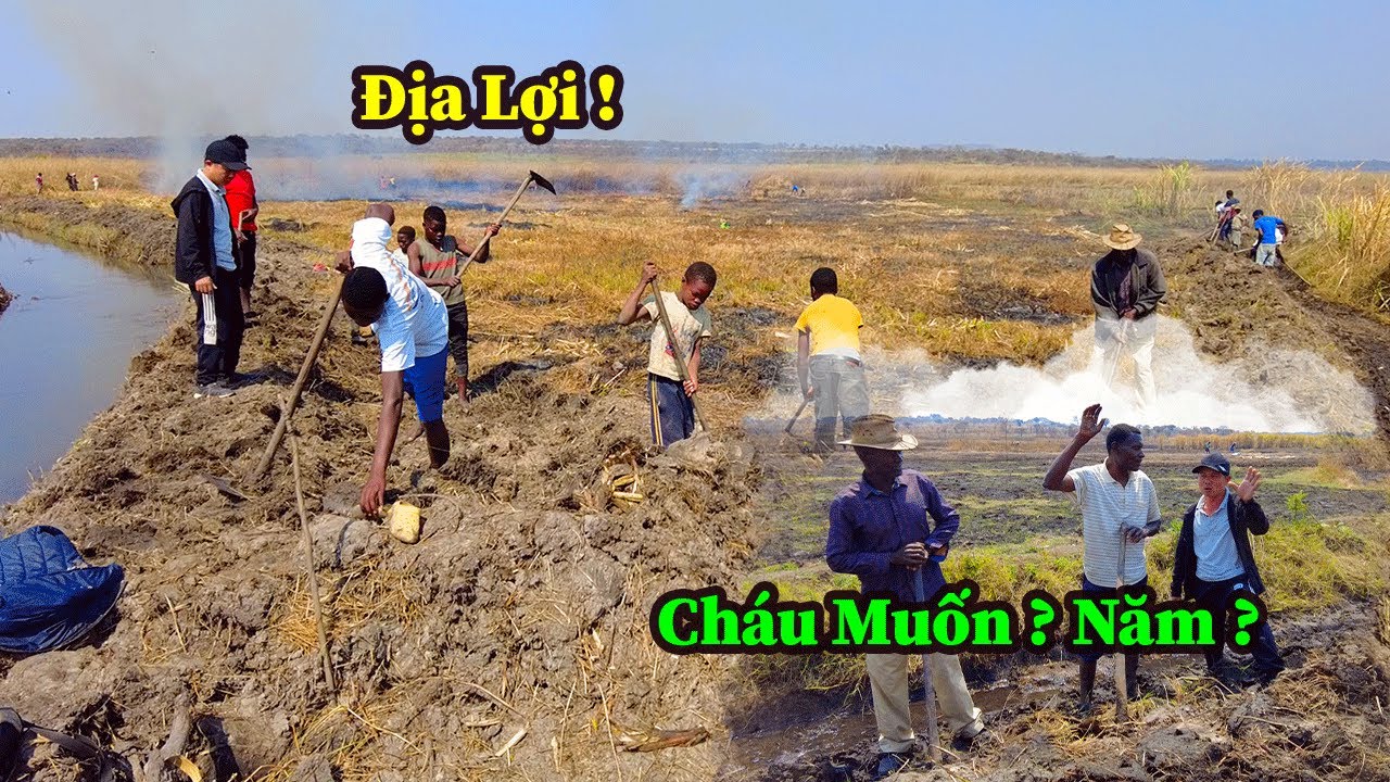 Quang Dũng || Muốn Gia Hạn Thêm Nhiều Năm Sử Dụng Đất Liệu Có Khả Thi ?